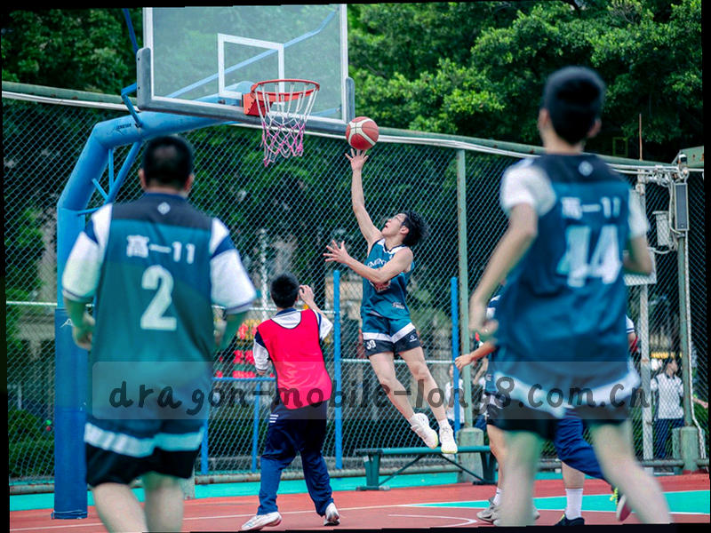 藏式建筑线稿与故障排查流程图形叠合的画面
